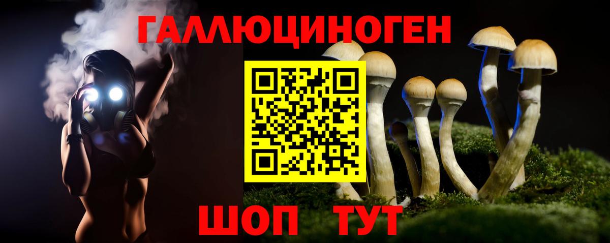 Бутурлиновка  Псилоцибиновые грибы MAGIC MUSHROOMS  Вход с VPN  Псилоцибиновые грибы Psilocybe 