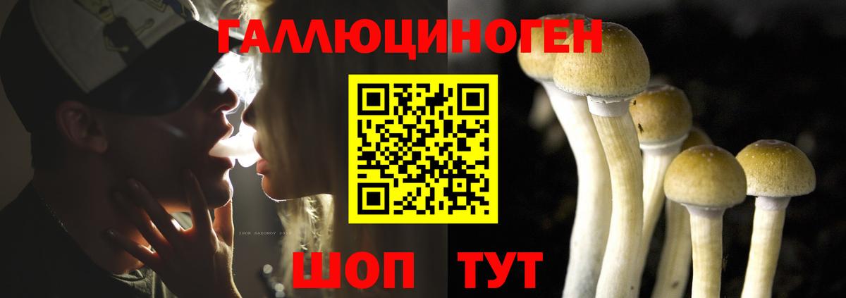 Псилоцибиновые грибы Cubensis Бутурлиновка